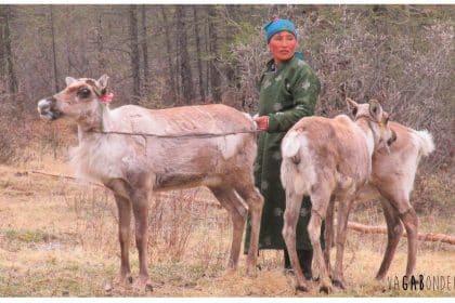 Quoi faire en Mongolie: visiter les Tsataans et rencontrer un chaman