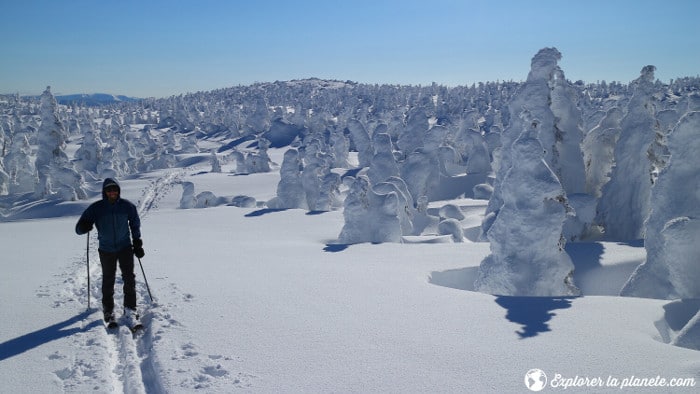 Les plus belles randonnées du Québec Mont Logan Gaspésie Explorer la planète